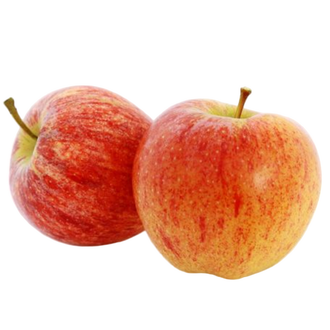Sweet Gala Apples 8-10 CT