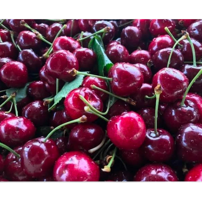 Sweet Red Cherries 2 LBS (Seasonal Summer) New York State Approved, Inmate Care package friendly