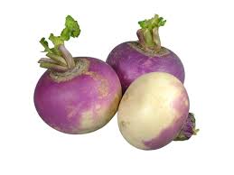 1 Fresh Turnips 16 OZ
