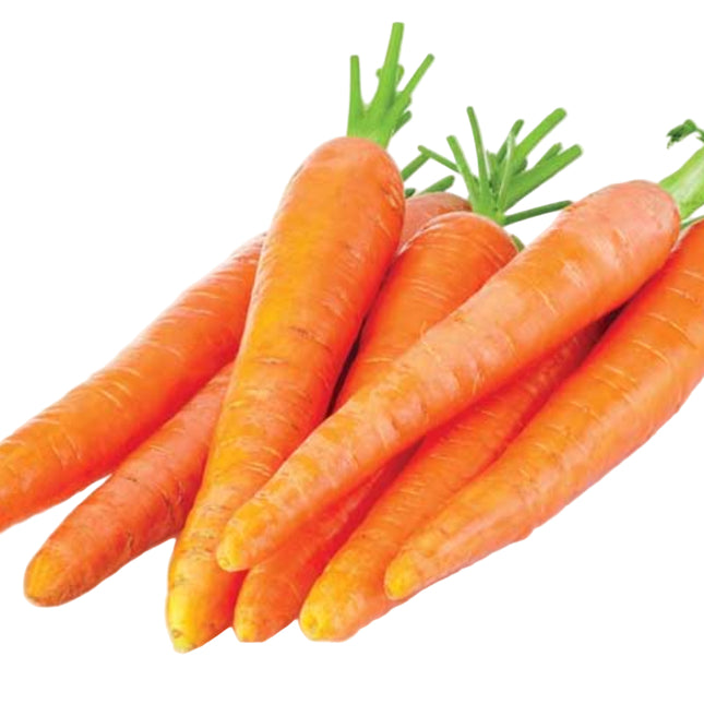 Fresh Whole Carrots, 1 lb Bag