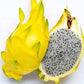 Dragon Fruit