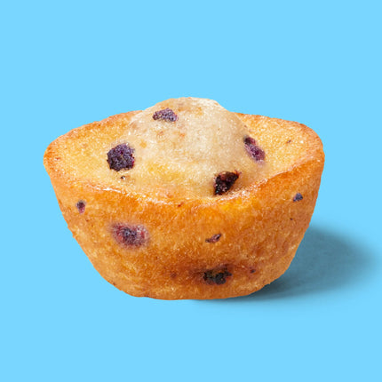 Little Bites Blueberry Muffins, 5 Packs, Mini Muffins, 8.25 Oz Box