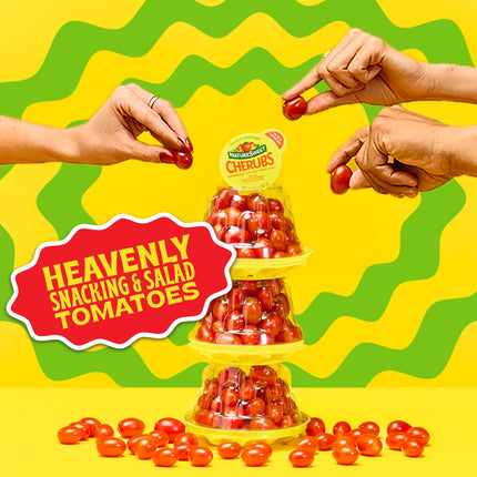 Fresh Cherubs Grape Tomatoes, 16.5 Oz Package