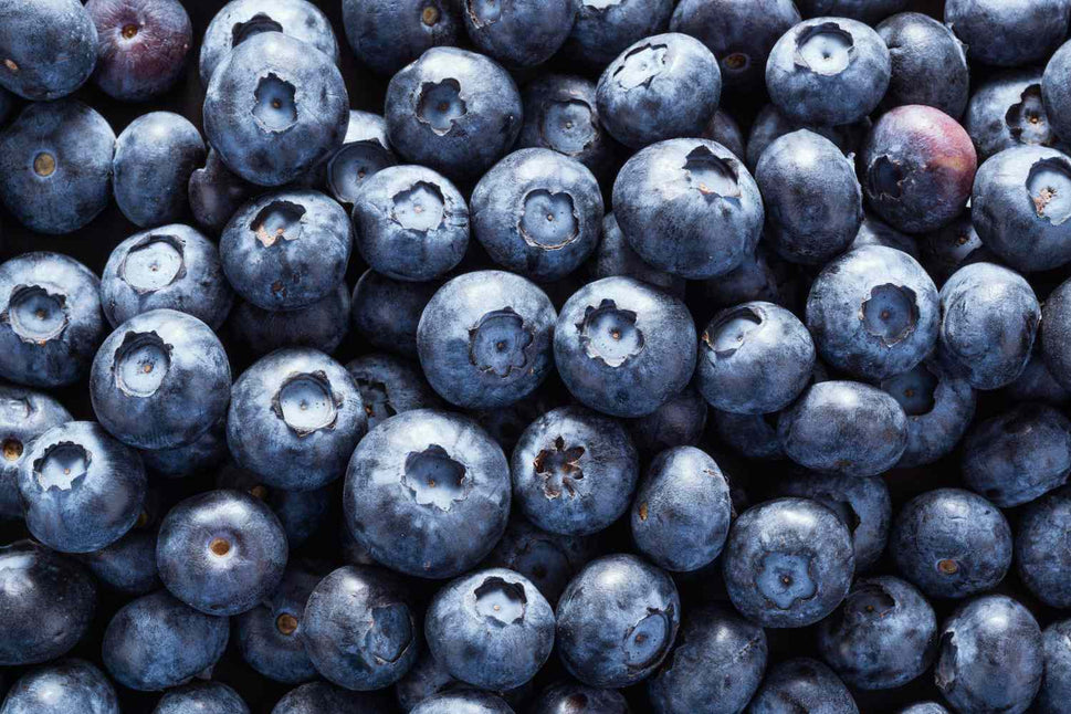 BLUEBERRIES 18 OZ