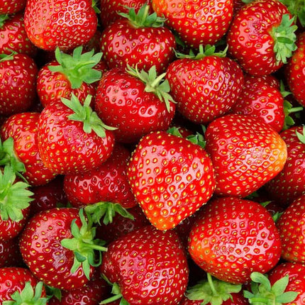 Fresh Strawberries, 1 Lb Container