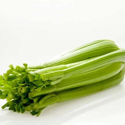 Fresh Celery Stalk, Each