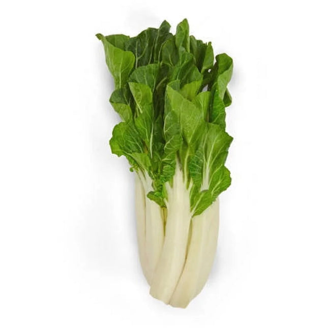 Fresh Harvested Whole Bok Choy, Each