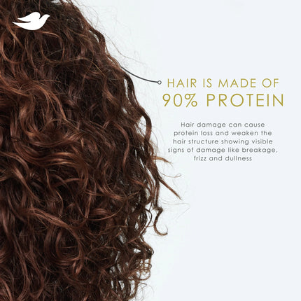 Dove Shampoo for Women anti Frizz & Smooth with Bio-Protein Care Technology and Shea Butter, 18 Oz