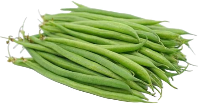 French Green Beans 16 OZ
