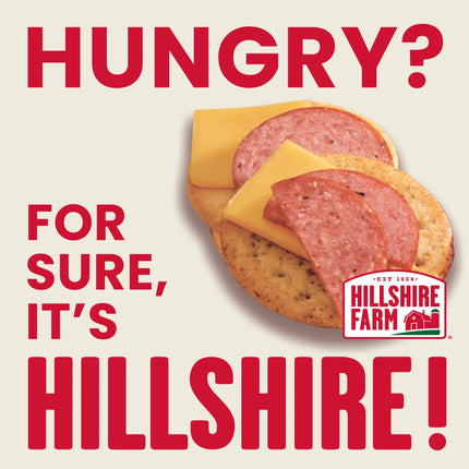 Hillshire Farm Hardwood Smoked Beef Summer Sausage, 19 Oz
