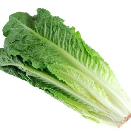 Fresh Romaine Lettuce Hearts 3 Count, Each