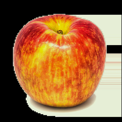 Fresh Honeycrisp Apple, Each