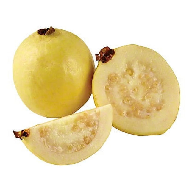 Guava, 1 Lb, Clamshell