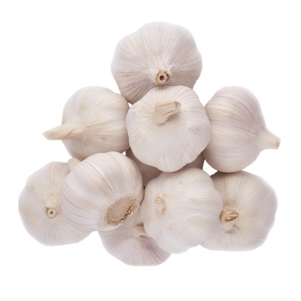 Garlic Head 5 CT