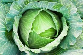 whole Green Cabbage 4-5 lbs