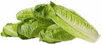 Romaine Lettuce Heart 6 CT