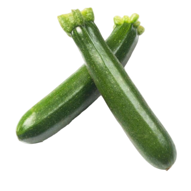 Green Zucchini Squash 1.6 LB