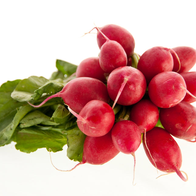 One Bundle Radish 16 OZ