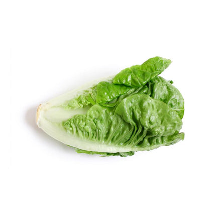 Romaine Lettuce Heart 6 CT