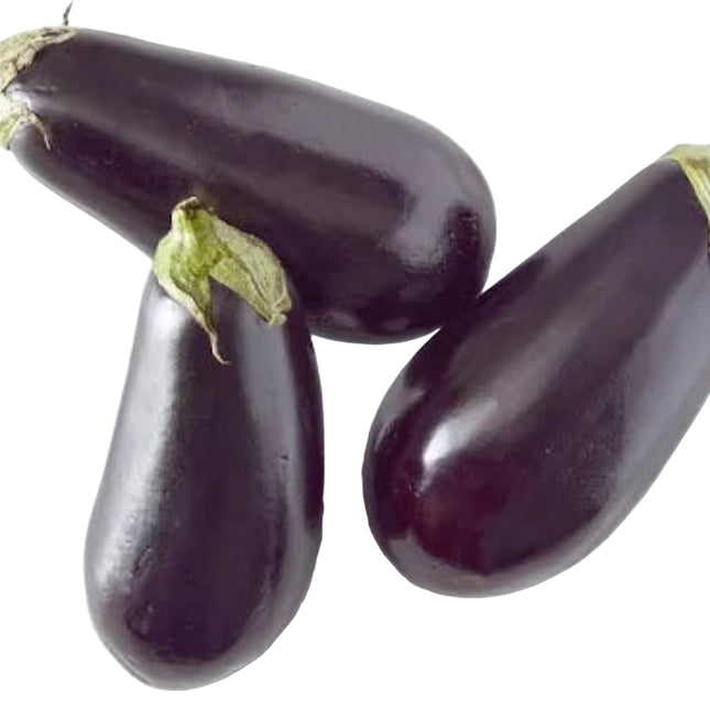 Eggplant 3 CT