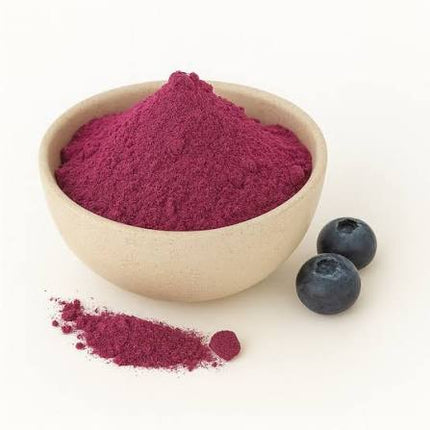 Z Natural Foods Blueberry Juice Powder - Organic 16 oz