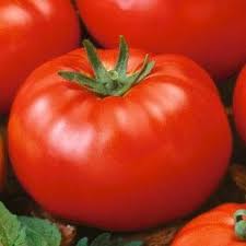 1 BEEFSTEAK TOMATO