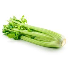 1 CELERY 1 BUNDLE 16 OZ