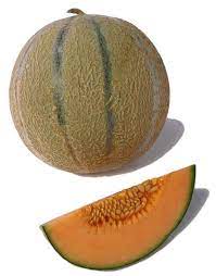 1  TUSCAN CANTALOUPE