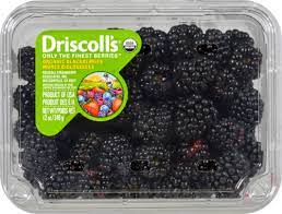 BLACKBERRIES 12 OZ