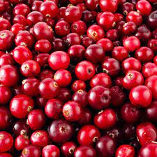 CRANBERRIES 2 LBS SEASONAL Winter Months