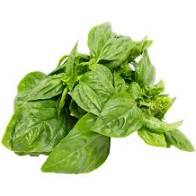 FRESH 8 OZ BASIL