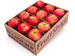 HONEY CRISP APPLES 10-12 CT