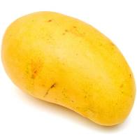 SMALL MANGO(ATAULOF)