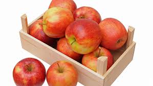 MCINTOSH APPLES 10- 12 CT