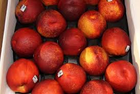 NECTARINES 12 CT 6.5 LB