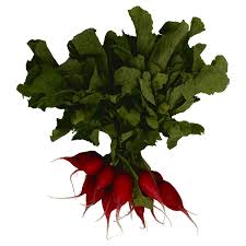 ONE BUNDLE RADISH 16 oz