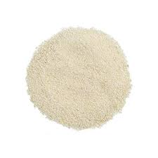 ONION POWDER