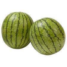 MINI SEEDLESS WATERMELON