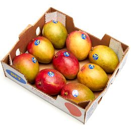 SWEET TROPICAL MANGO BOX 6 CT