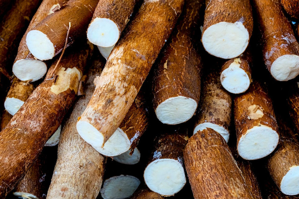 CASSAVA PER LB